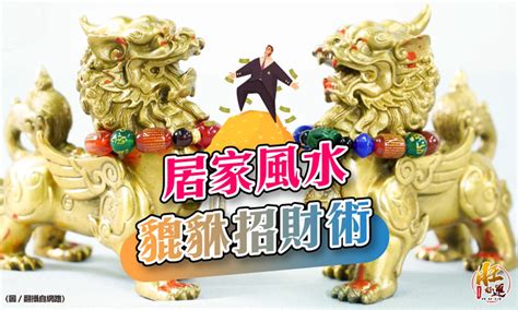 咬錢的神獸|神獸供養方法：三腳金蟾篇(咬錢)